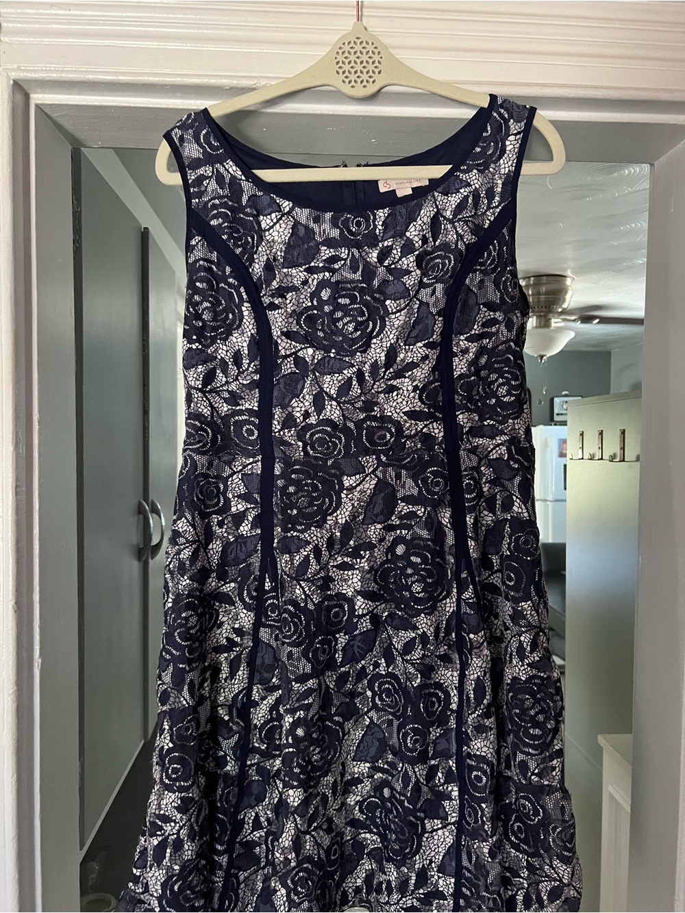 Dress Baen Sleeveless Navy Floral Lace A-Line Dress